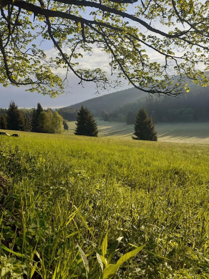 Chalupa U přátel Kovarska Bagian luar foto