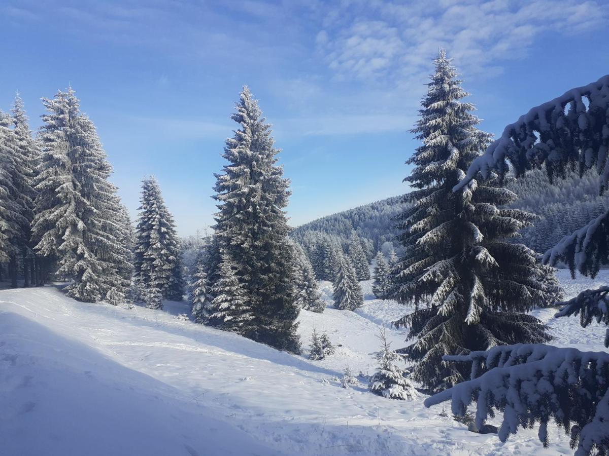 Chalupa U přátel Kovarska Bagian luar foto